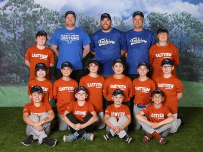 Minors-Tigers